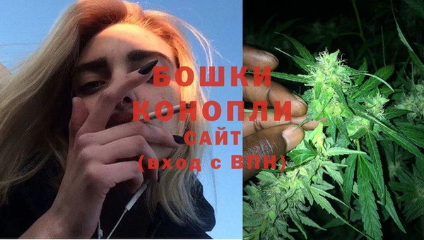 PSILOCYBIN Михайловск