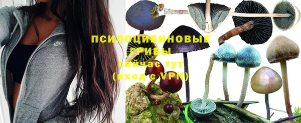 марки nbome Михайлов