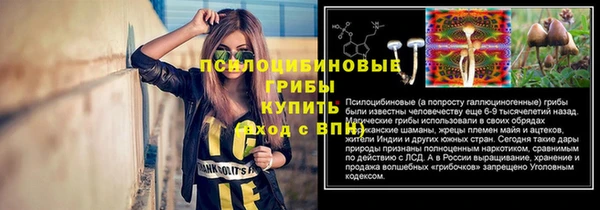 марки nbome Михайлов