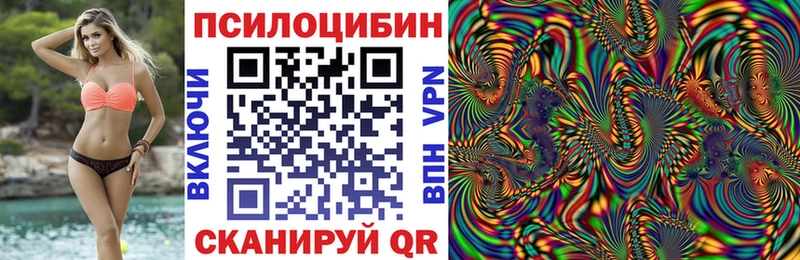 Псилоцибиновые грибы ЛСД  Новокубанск 